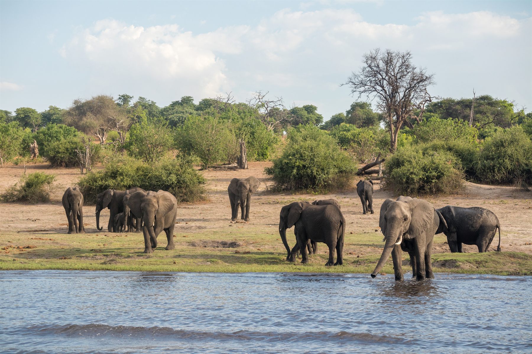 African River Cruises — African River Cruises