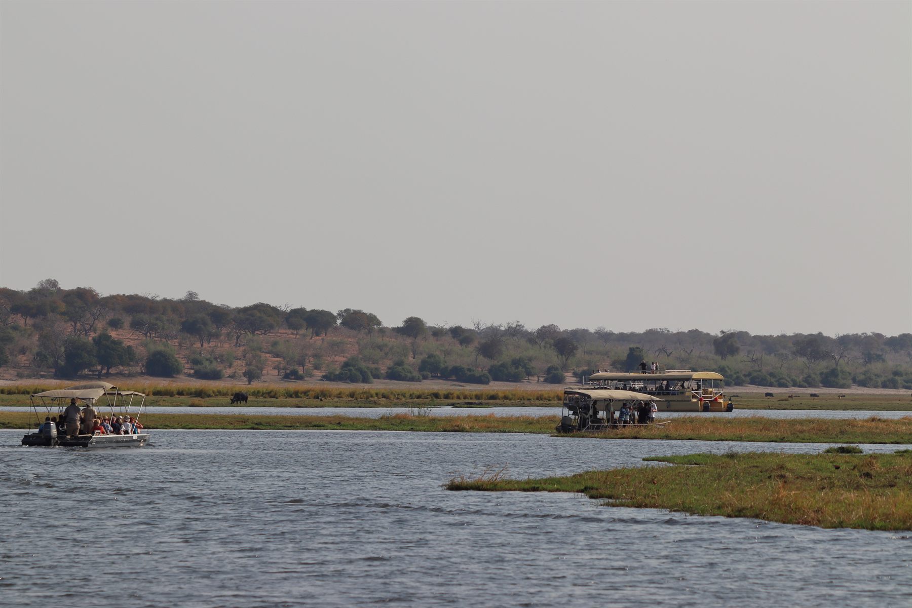 Game-viewing boats on a wide stretch of the Chobe River