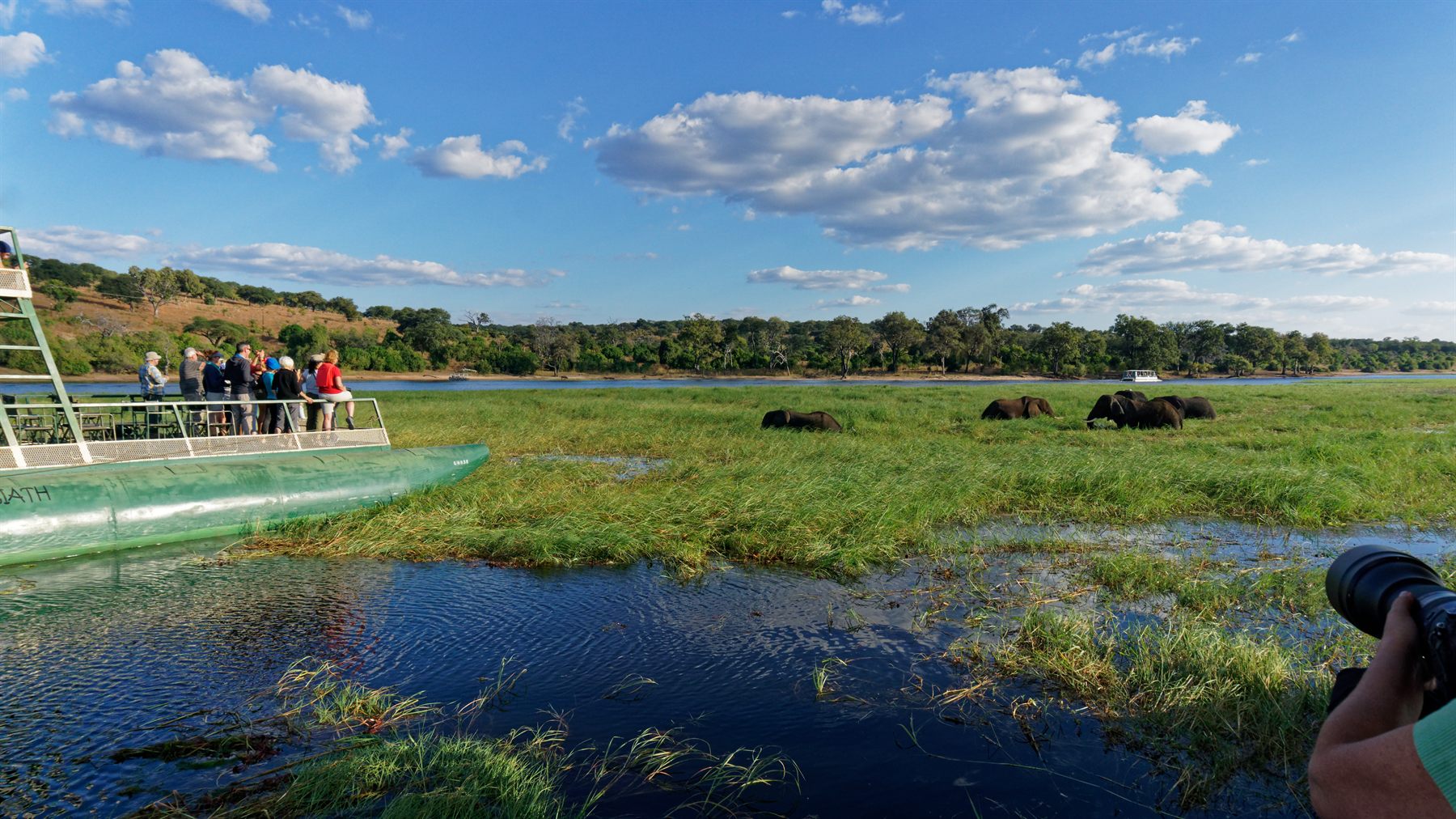 Guests on a safari boat watching elephants graze on a green river floodplain